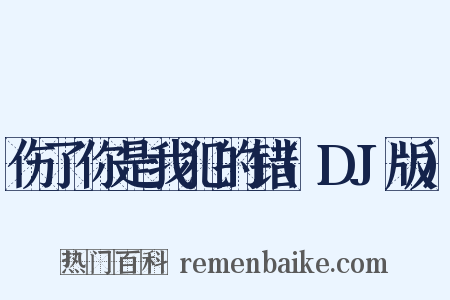 伤了你是我犯的错(DJ版)是什么意思的图片